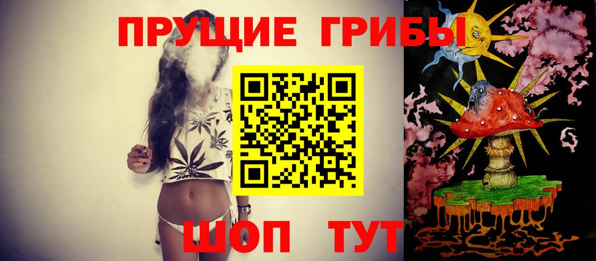 Псилоцибиновые грибы ЛСД  Псилоцибиновые грибы GOLDEN TEACHER  Норильск  Вход с VPN 